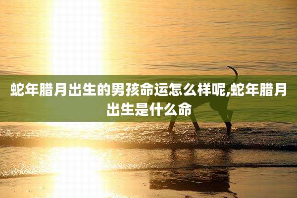 蛇年腊月出生的男孩命运怎么样呢,蛇年腊月出生是什么命