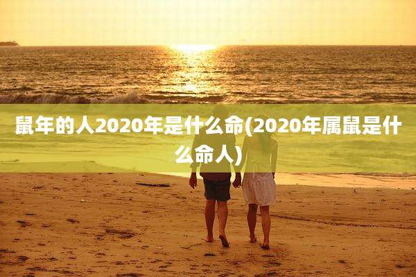 鼠年的人2020年是什么命(2020年属鼠是什么命人)
