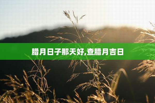 腊月日子那天好,查腊月吉日