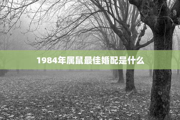 1984年属鼠最佳婚配是什么