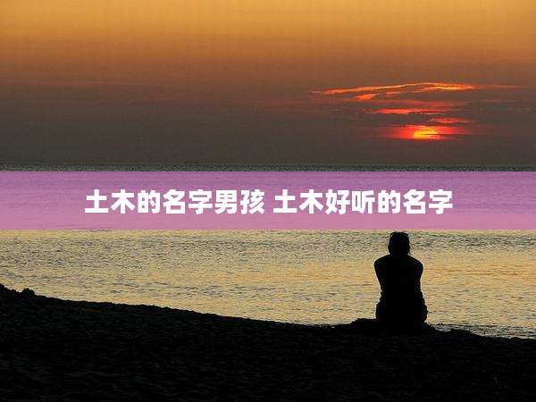 土木的名字男孩 土木好听的名字