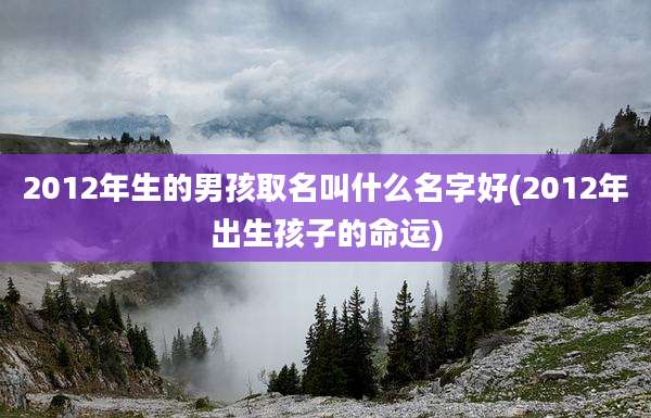 2012年生的男孩取名叫什么名字好(2012年出生孩子的命运)