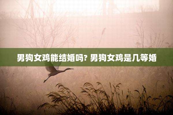 男狗女鸡能结婚吗? 男狗女鸡是几等婚