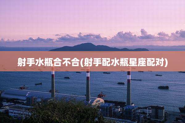 射手水瓶合不合(射手配水瓶星座配对)