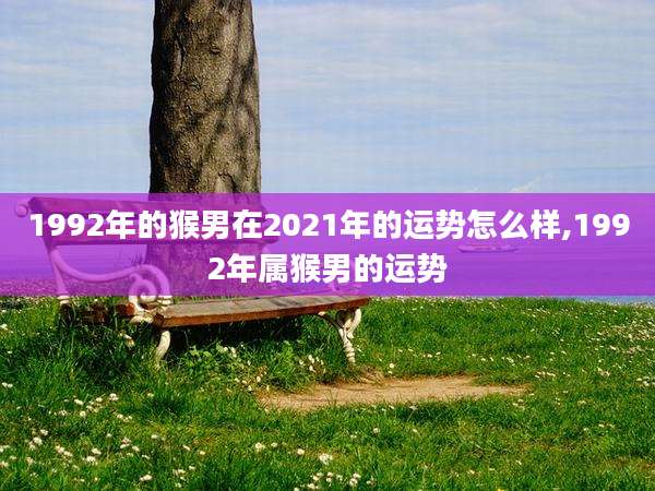 1992年的猴男在2021年的运势怎么样,1992年属猴男的运势