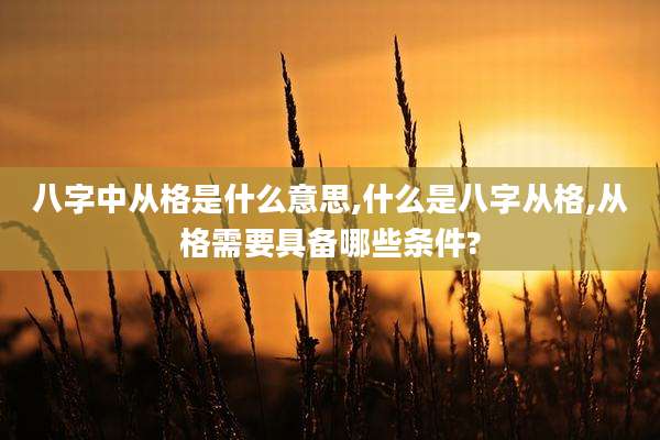 八字中从格是什么意思,什么是八字从格,从格需要具备哪些条件?