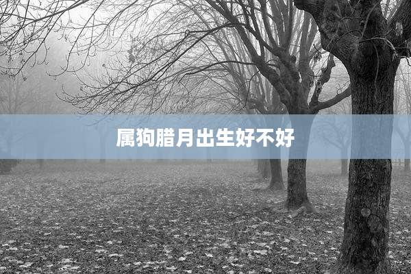 属狗腊月出生好不好