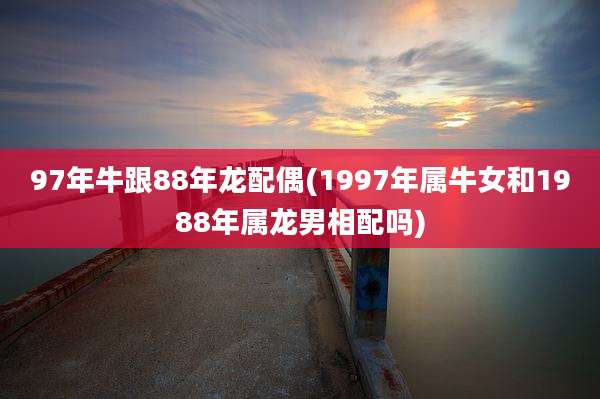 97年牛跟88年龙配偶(1997年属牛女和1988年属龙男相配吗)