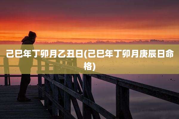 己巳年丁卯月乙丑日(己巳年丁卯月庚辰日命格)