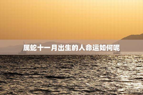 属蛇十一月出生的人命运如何呢