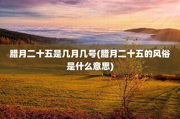 腊月二十五是几月几号(腊月二十五的风俗是什么意思)