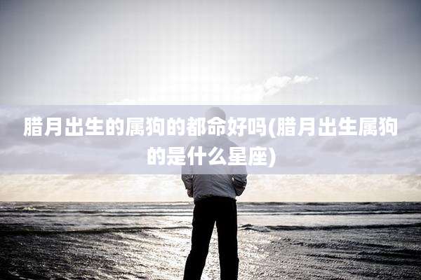 腊月出生的属狗的都命好吗(腊月出生属狗的是什么星座)