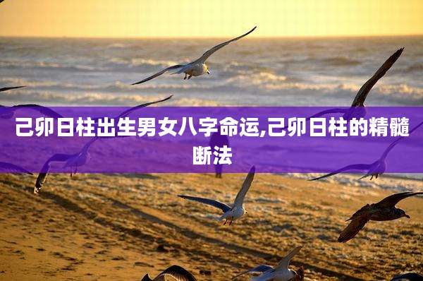 己卯日柱出生男女八字命运,己卯日柱的精髓断法