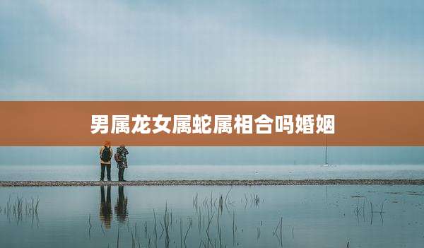 男属龙女属蛇属相合吗婚姻