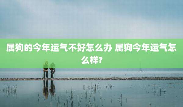 属狗的今年运气不好怎么办 属狗今年运气怎么样?