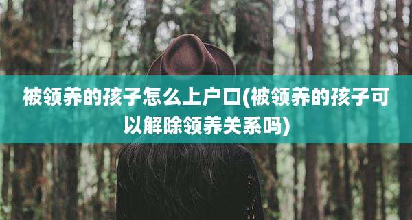 被领养的孩子怎么上户口(被领养的孩子可以解除领养关系吗)