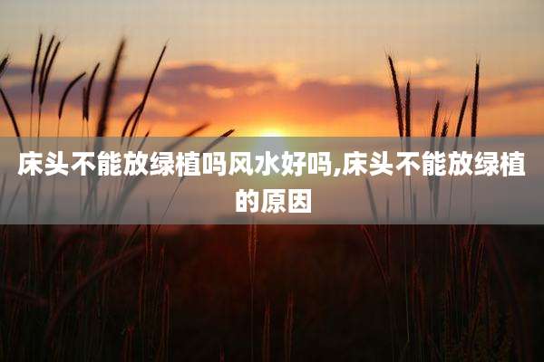 床头不能放绿植吗风水好吗,床头不能放绿植的原因