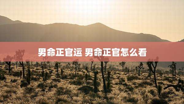 男命正官运 男命正官怎么看