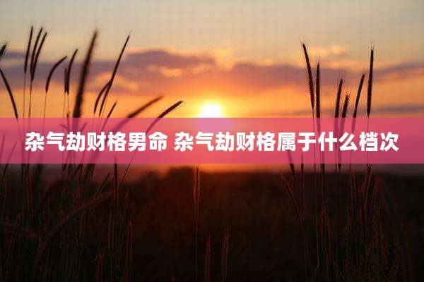 杂气劫财格男命 杂气劫财格属于什么档次