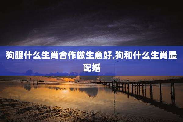 狗跟什么生肖合作做生意好,狗和什么生肖最配婚