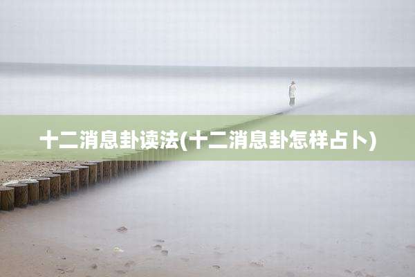 十二消息卦读法(十二消息卦怎样占卜)