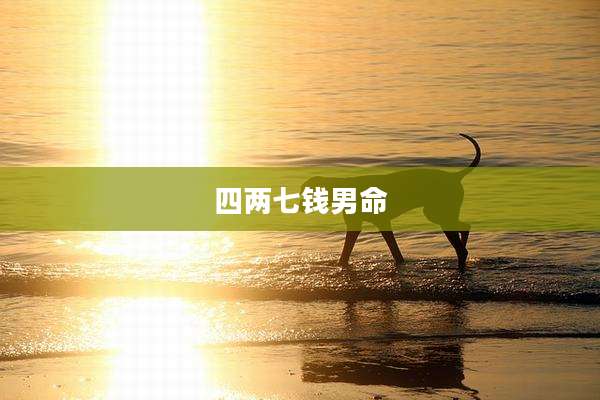 四两七钱男命