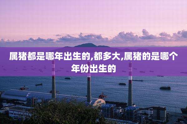 属猪都是哪年出生的,都多大,属猪的是哪个年份出生的