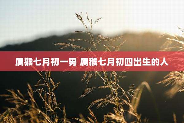 属猴七月初一男 属猴七月初四出生的人
