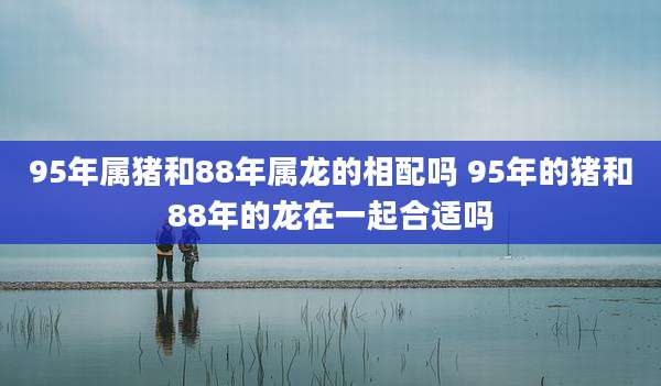 95年属猪和88年属龙的相配吗 95年的猪和88年的龙在一起合适吗