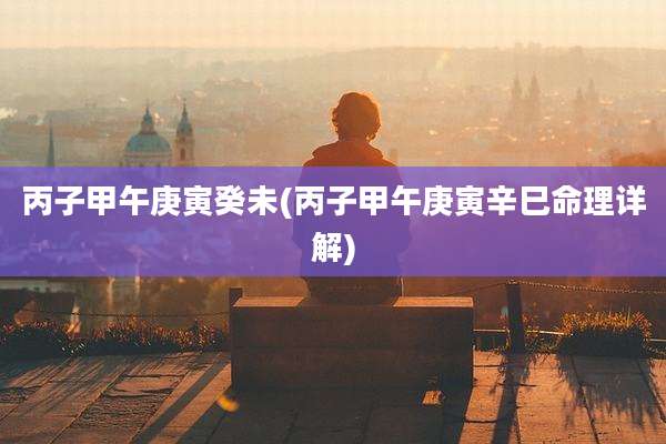 丙子甲午庚寅癸未(丙子甲午庚寅辛巳命理详解)