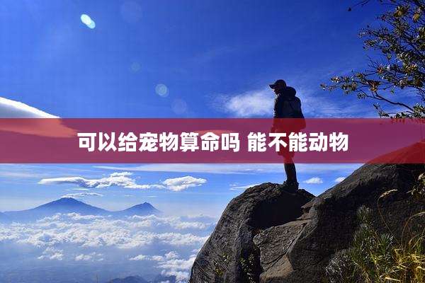 可以给宠物算命吗 能不能动物