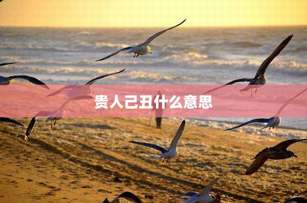 贵人己丑什么意思
