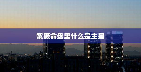 紫薇命盘里什么是主星