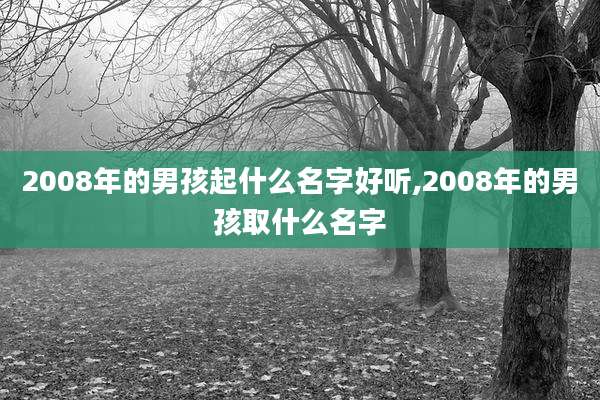 2008年的男孩起什么名字好听,2008年的男孩取什么名字