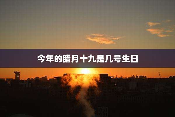今年的腊月十九是几号生日