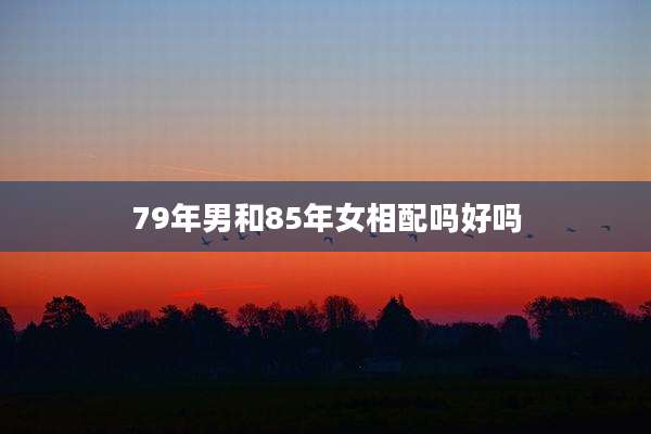79年男和85年女相配吗好吗