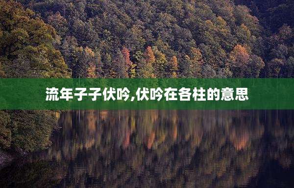 流年子子伏吟,伏吟在各柱的意思