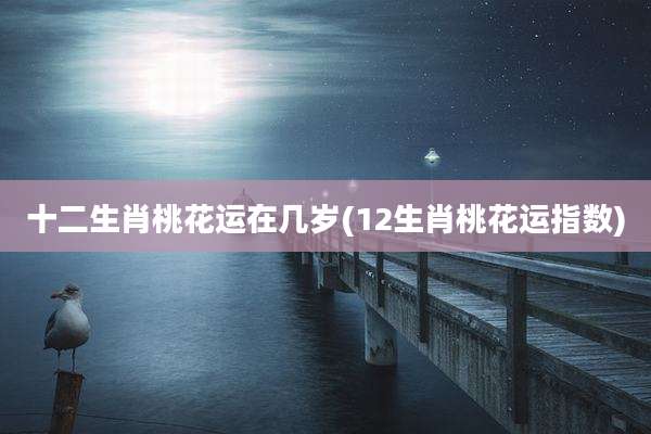 十二生肖桃花运在几岁(12生肖桃花运指数)