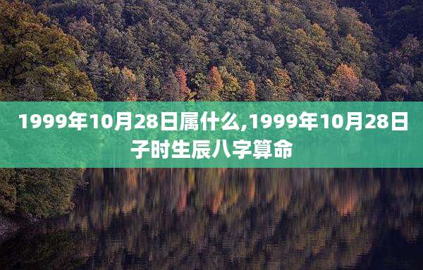 1999年10月28日属什么,1999年10月28日子时生辰八字算命