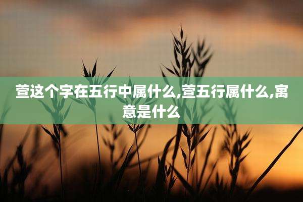 萱这个字在五行中属什么,萱五行属什么,寓意是什么
