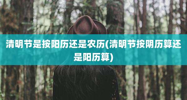 清明节是按阳历还是农历(清明节按阴历算还是阳历算)