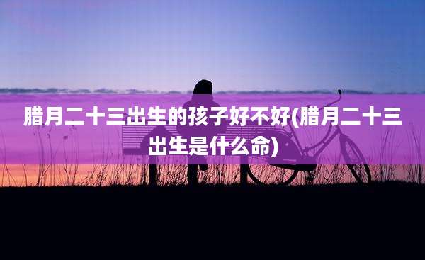 腊月二十三出生的孩子好不好(腊月二十三出生是什么命)