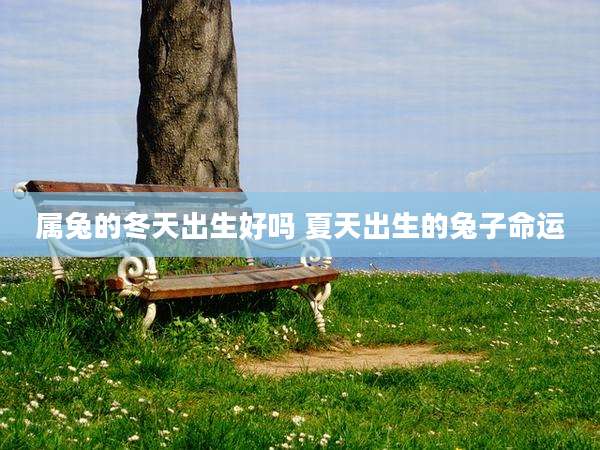 属兔的冬天出生好吗 夏天出生的兔子命运