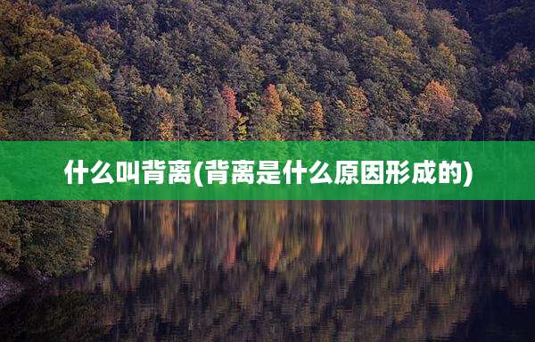 什么叫背离(背离是什么原因形成的)