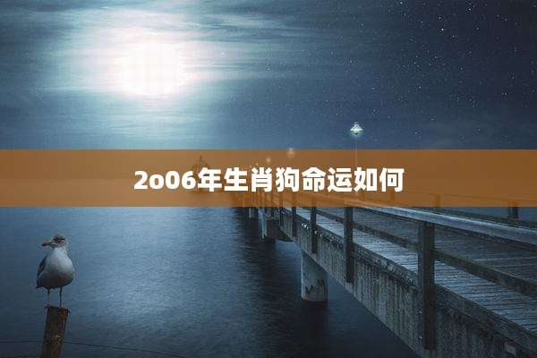 2o06年生肖狗命运如何
