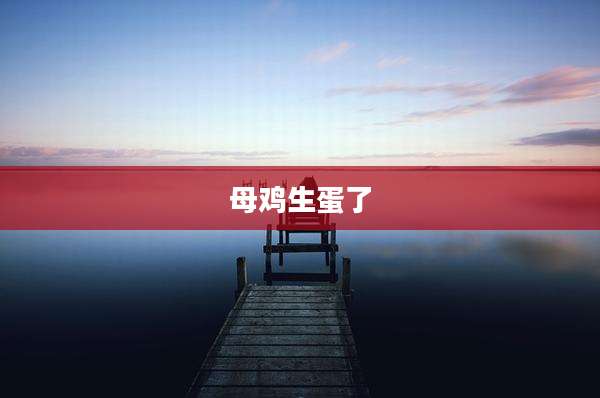 母鸡生蛋了