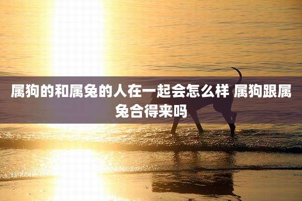 属狗的和属兔的人在一起会怎么样 属狗跟属兔合得来吗