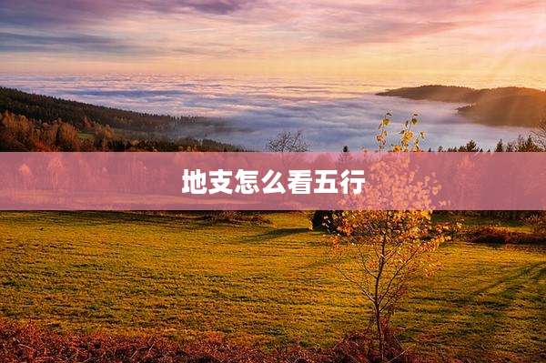地支怎么看五行