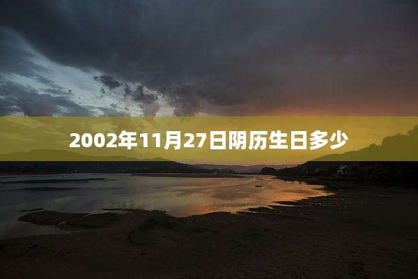 2002年11月27日阴历生日多少