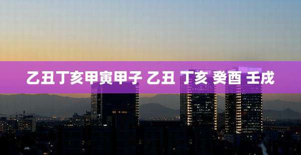 乙丑丁亥甲寅甲子 乙丑 丁亥 癸酉 壬戌